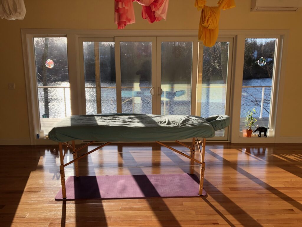 Treatment table by studio windows with silk hammocks and Pameacha Pond.